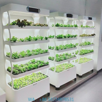 Diy Home Automation System - Hydroponic Automated Grow SystemIntelligent Hydroponic Growing