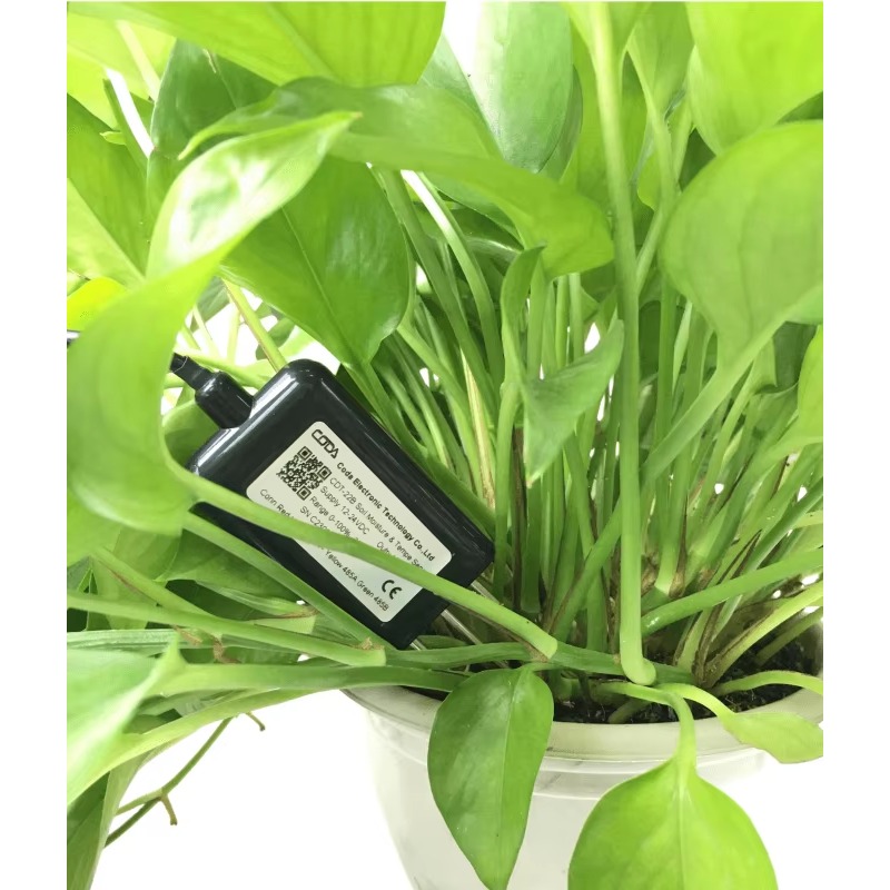RS485 4-20mA Portable Soil Moi - Temperature Humidity Sensor 评论和价格