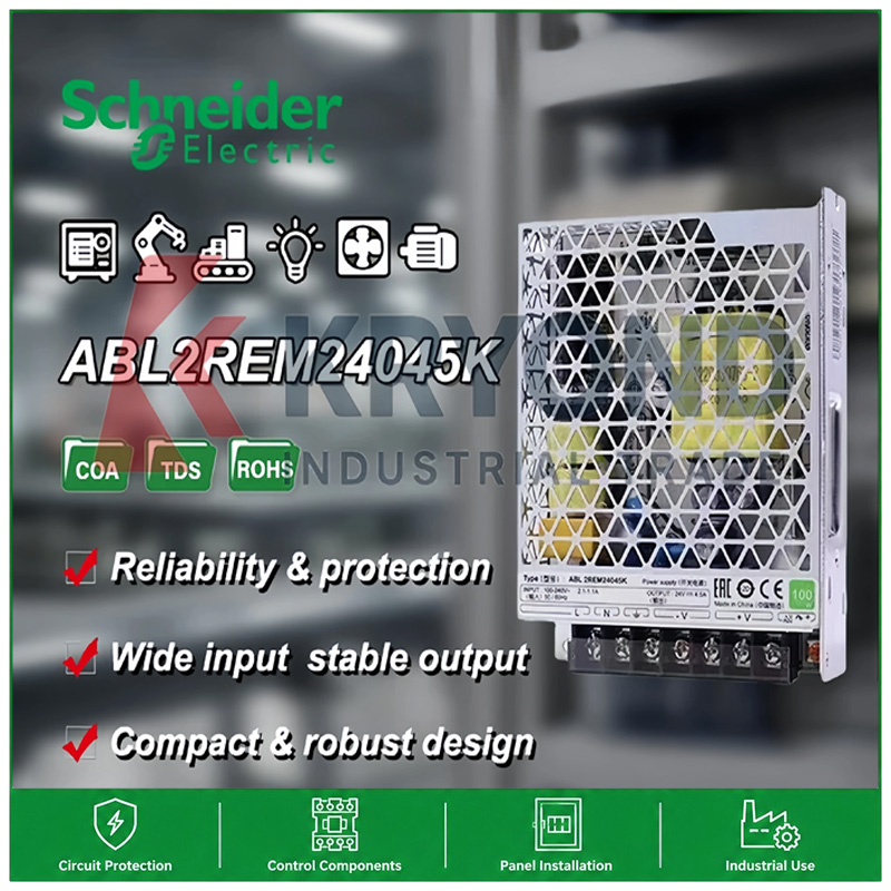 Schneider Electric ABL2REM2404 - Diy Home Automation System 评论和价格
