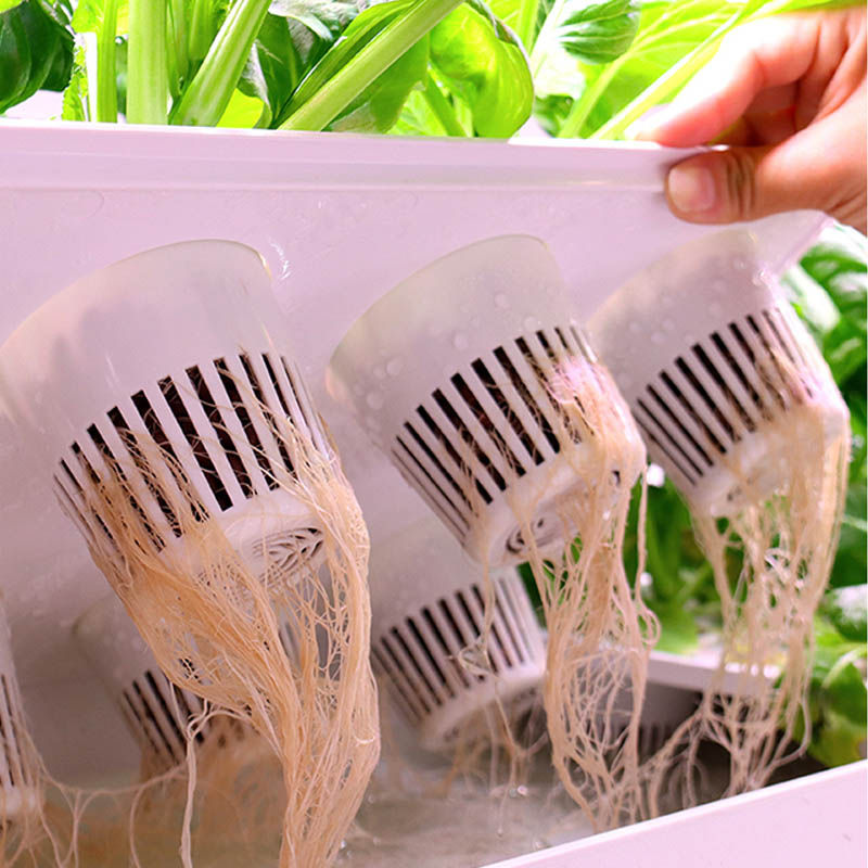 ydroponic Planting System Smar - Diy Home Automation System 评论和价格