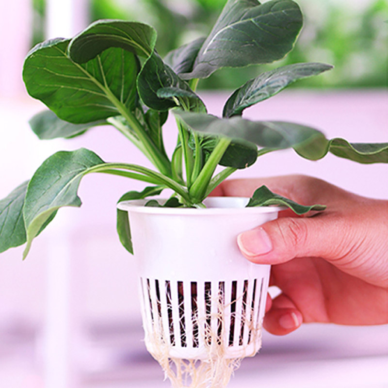 ydroponic Planting System Smar - Diy Home Automation System 评论和价格